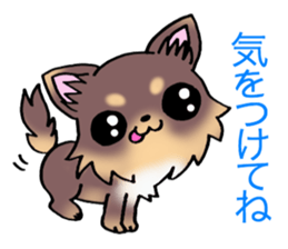Chocolate color puppy! sticker #9351957