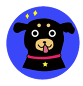 Cute dog Maro&Okyo sticker #9352222