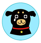 Cute dog Maro&Okyo sticker #9352223