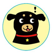 Cute dog Maro&Okyo sticker #9352224