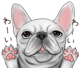 Pug and Bulldog sticker vol.1 sticker #9353694