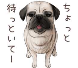 Pug and Bulldog sticker vol.1 sticker #9353695