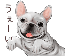 Pug and Bulldog sticker vol.1 sticker #9353696