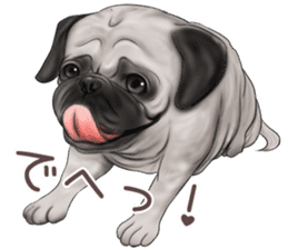 Pug and Bulldog sticker vol.1 sticker #9353697