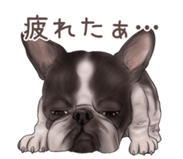Pug and Bulldog sticker vol.1 sticker #9353701