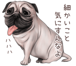 Pug and Bulldog sticker vol.1 sticker #9353706