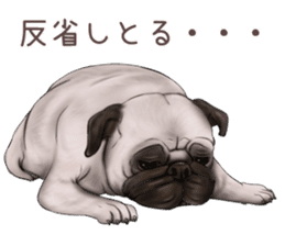 Pug and Bulldog sticker vol.1 sticker #9353712