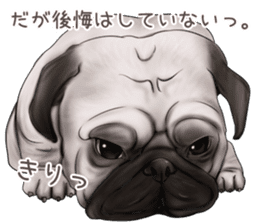 Pug and Bulldog sticker vol.1 sticker #9353713