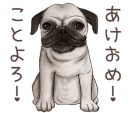 Pug and Bulldog sticker vol.1 sticker #9353725