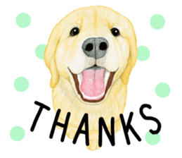 Golden Retriever Sticker (English) sticker #9357011