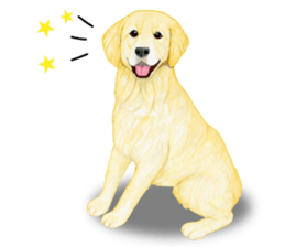 Golden Retriever Sticker (English) sticker #9357012
