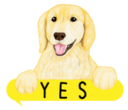 Golden Retriever Sticker (English) sticker #9357022