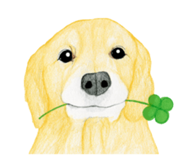 Golden Retriever Sticker (English) sticker #9357024
