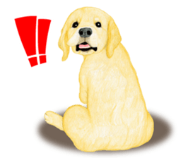 Golden Retriever Sticker (English) sticker #9357030