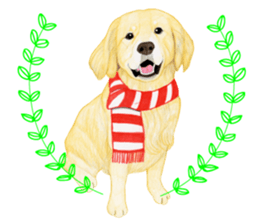 Golden Retriever Sticker (English) sticker #9357046