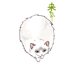 Pretty pet2 sticker #9357335