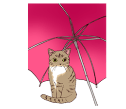 Pretty pet2 sticker #9357340