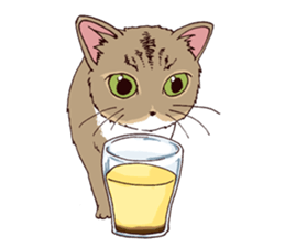 Pretty pet2 sticker #9357352