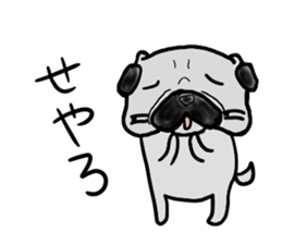 oosaka pug sticker sticker #9357704