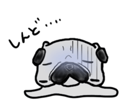 oosaka pug sticker sticker #9357717