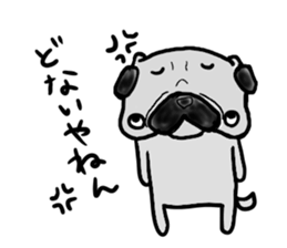 oosaka pug sticker sticker #9357723