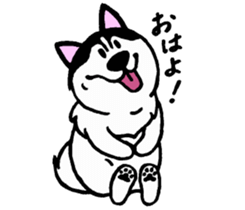 Lukewarm! Husky dog sticker #9360968