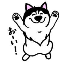 Lukewarm! Husky dog sticker #9360976