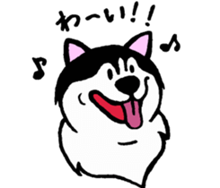 Lukewarm! Husky dog sticker #9360980