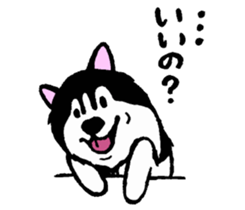 Lukewarm! Husky dog sticker #9360987