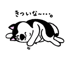 Lukewarm! Husky dog sticker #9360988