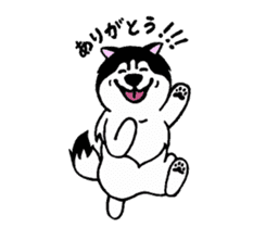 Lukewarm! Husky dog sticker #9360991