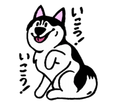 Lukewarm! Husky dog sticker #9360996