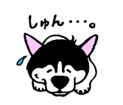 Lukewarm! Husky dog sticker #9361005