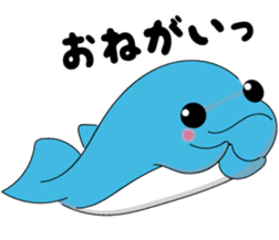 Dolphin Koo-chan<everyday conversation3> sticker #9361615
