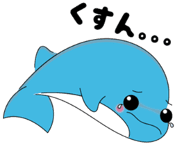Dolphin Koo-chan<everyday conversation3> sticker #9361620
