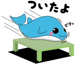 Dolphin Koo-chan<everyday conversation3> sticker #9361631