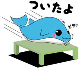 Dolphin Koo-chan<everyday conversation3> sticker #9361631