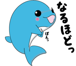 Dolphin Koo-chan<everyday conversation3> sticker #9361634