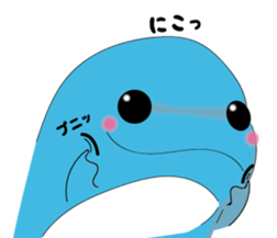 Dolphin Koo-chan<everyday conversation3> sticker #9361635