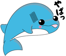 Dolphin Koo-chan<everyday conversation3> sticker #9361646