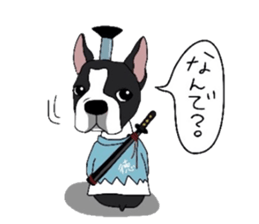 Boston-Terrier-association sticker #9361770