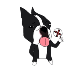 Boston-Terrier-association sticker #9361771