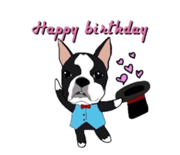 Boston-Terrier-association sticker #9361773