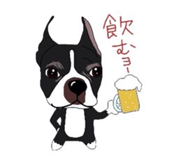 Boston-Terrier-association sticker #9361775