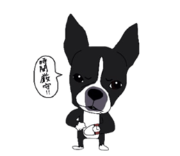 Boston-Terrier-association sticker #9361776