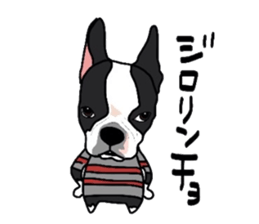 Boston-Terrier-association sticker #9361777