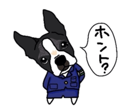 Boston-Terrier-association sticker #9361778