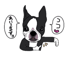 Boston-Terrier-association sticker #9361780