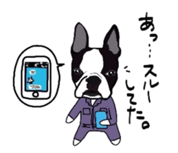 Boston-Terrier-association sticker #9361782