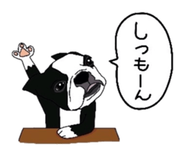 Boston-Terrier-association sticker #9361786